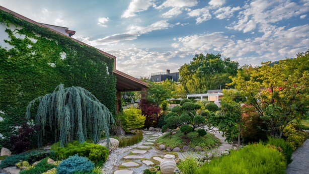 A garden with a stone pathway, various plants, and a bench. - Giuaani Winery (Sagarejo)