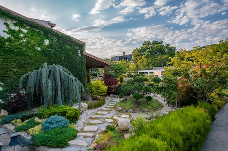 Garden. Giuaani Winery