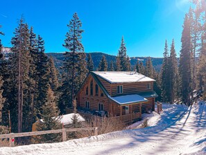 Exterior - July Special! Cabin with hot tub! Near FairPlay & Breck! (Alma)
