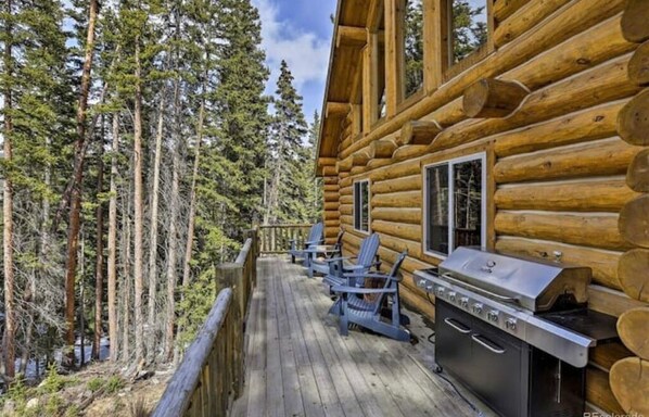 Property grounds - July Special! Cabin with hot tub! Near FairPlay & Breck! (Alma)