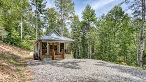 A cabin with a porch, surrounded by a forest. - The Birdhouse (Suches)