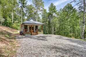 A cabin with a porch, surrounded by a forest. - The Birdhouse (Suches)