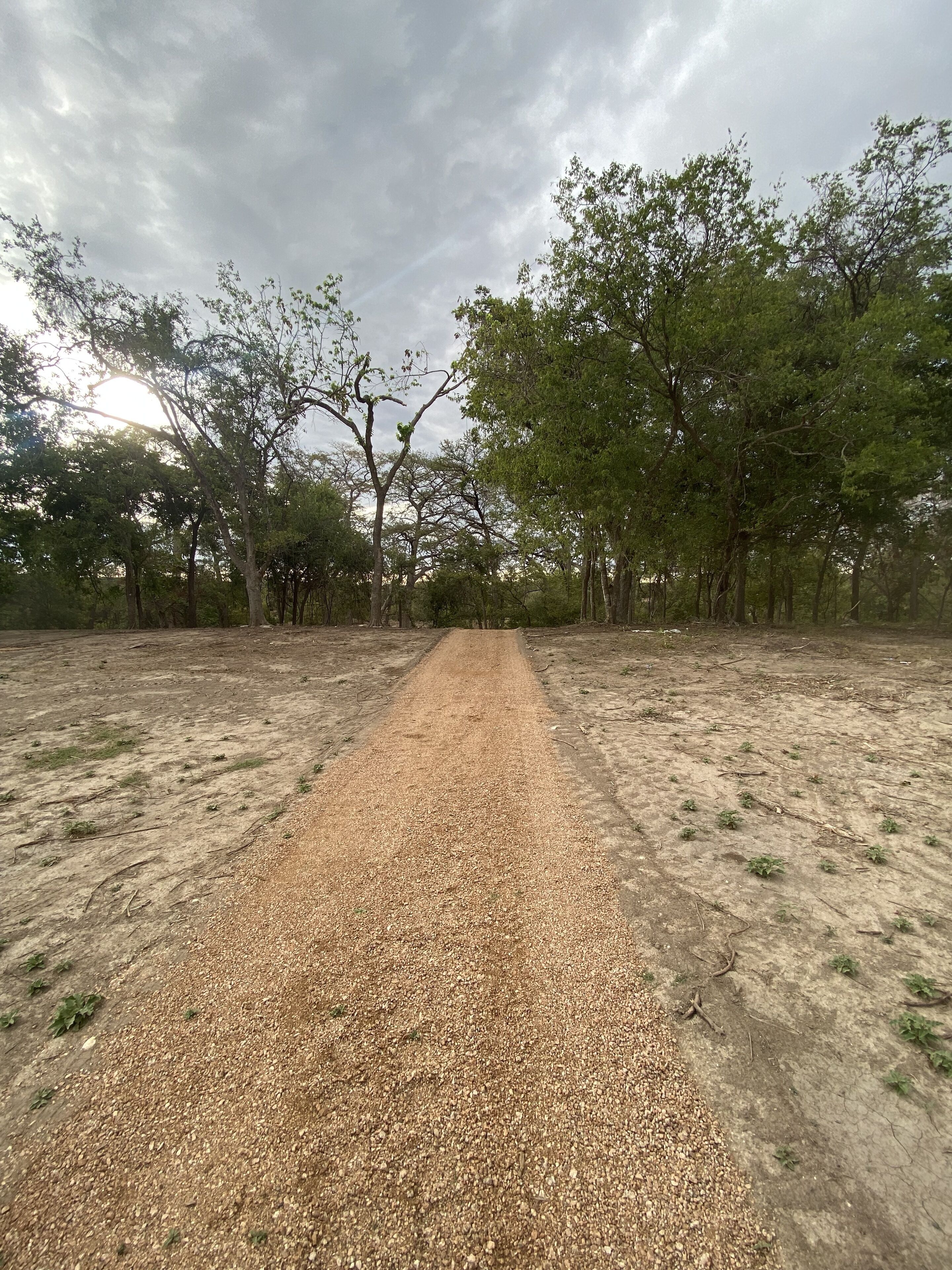 A gravel path leading through a dry, open area with sparse vegetation and trees.