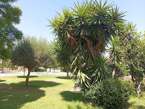 Property grounds - Belle Location Vacance Espagne A 10 MN DE LA Plage (Sant Joan d'Alacant)