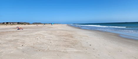 在海滩