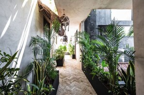 Property grounds - King Duplex Suite + Floating Balcony WashDry (Tulum City Centre)