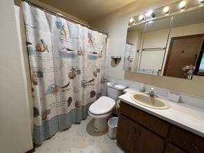 淋浴设施、吹风机、坐浴桶、毛巾