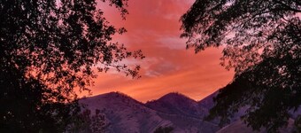 Tiny house experience with horses, goats and pigs. Near Sequoia National Park