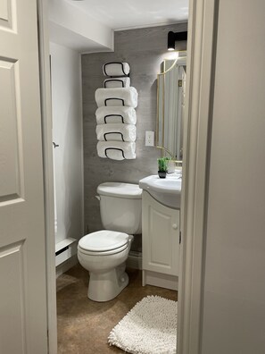 Ducha, secador de pelo, toallas y papel higiénico