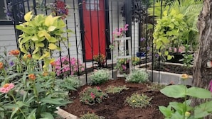 Ein Garten mit verschiedenen Pflanzen und Blumen vor einem Haus mit roter Tür.