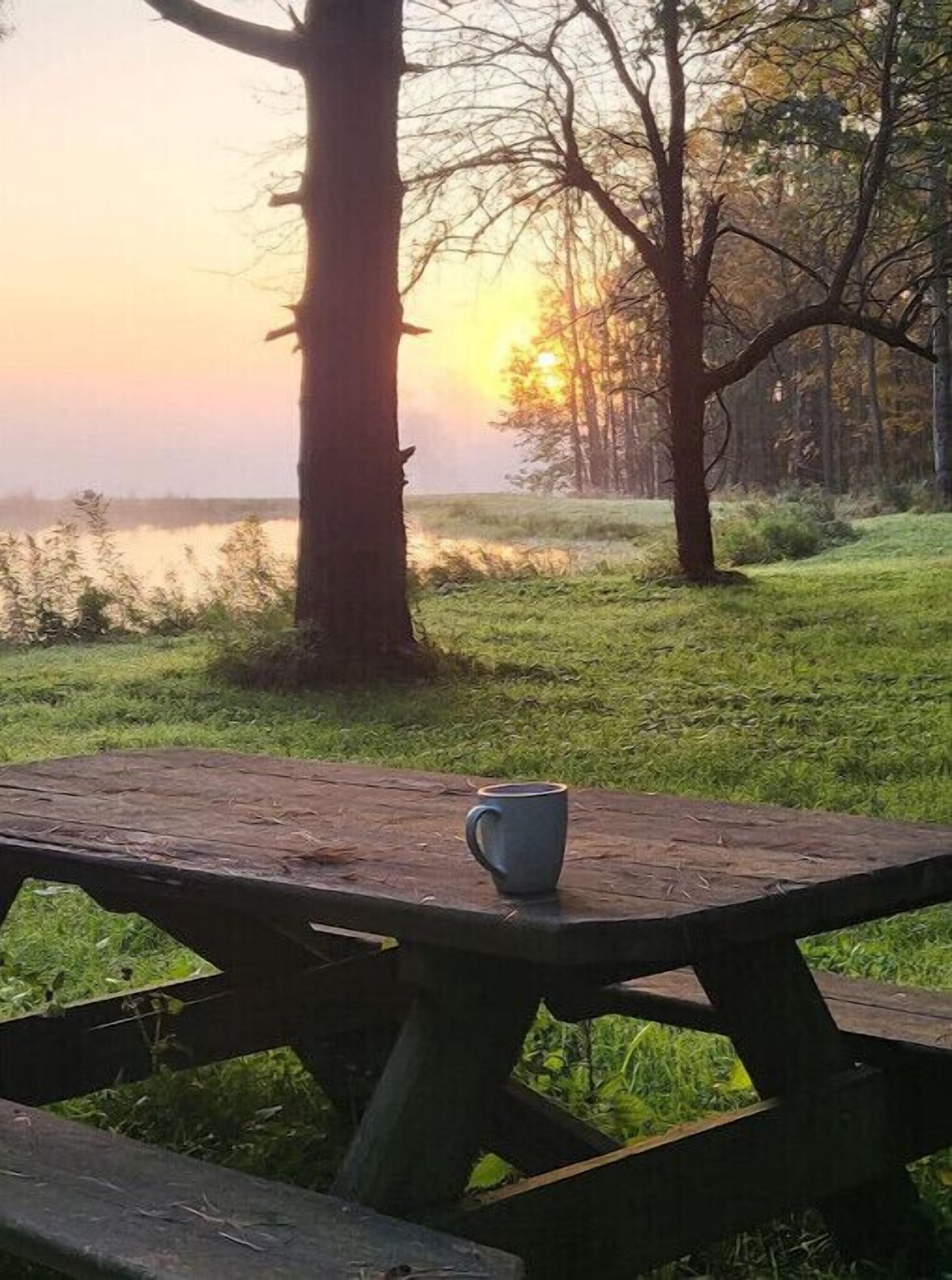 A wooden picnic table with a single cup, set against a backdrop of trees and a body of water during sunrise or sunset.