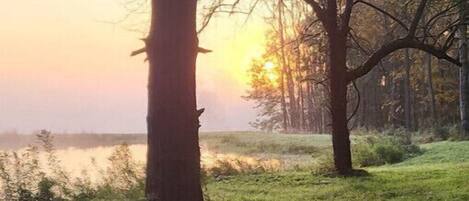 A wooden picnic table with a single cup, set against a backdrop of trees and a body of water during sunrise or sunset.