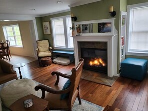 Smart TV, chimenea, videojuegos y libros