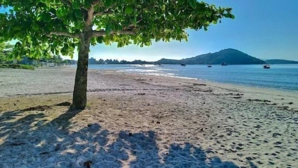 Une plage avec un arbre au premier plan, une rive sablonneuse et des bateaux sur l’eau.