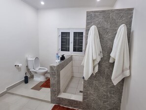 Shower, hair dryer, towels, soap - Villa Rozeen, newly renovated, cozy family-friendly Villa! relaxing front porch. (Yaoundé)