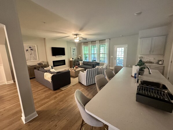 Smart TV, fireplace, video games, computer monitors