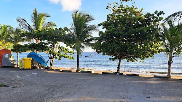 Une plage bordée de palmiers, un bateau bleu et un petit bâtiment.