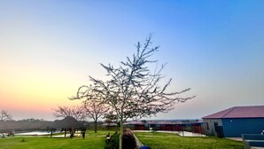 Zona residencial con un árbol grande al frente, una piscina y un edificio de techo rojo al fondo.