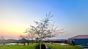 إطلالة على الحديقة