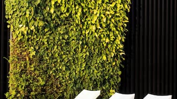 حمّام سباحة خارجي