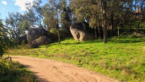 A dirt path in a grassy area with large boulders and trees. - Wake with the Kangaroos: Sunrise Cabin Escape in Mudgee (Frog Rock)
