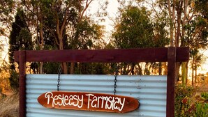 A rustic wooden sign with the text "Pereycy Farmstay" hanging on a corrugated metal structure. - Wake with the Kangaroos: Sunrise Cabin Escape in Mudgee (Frog Rock)