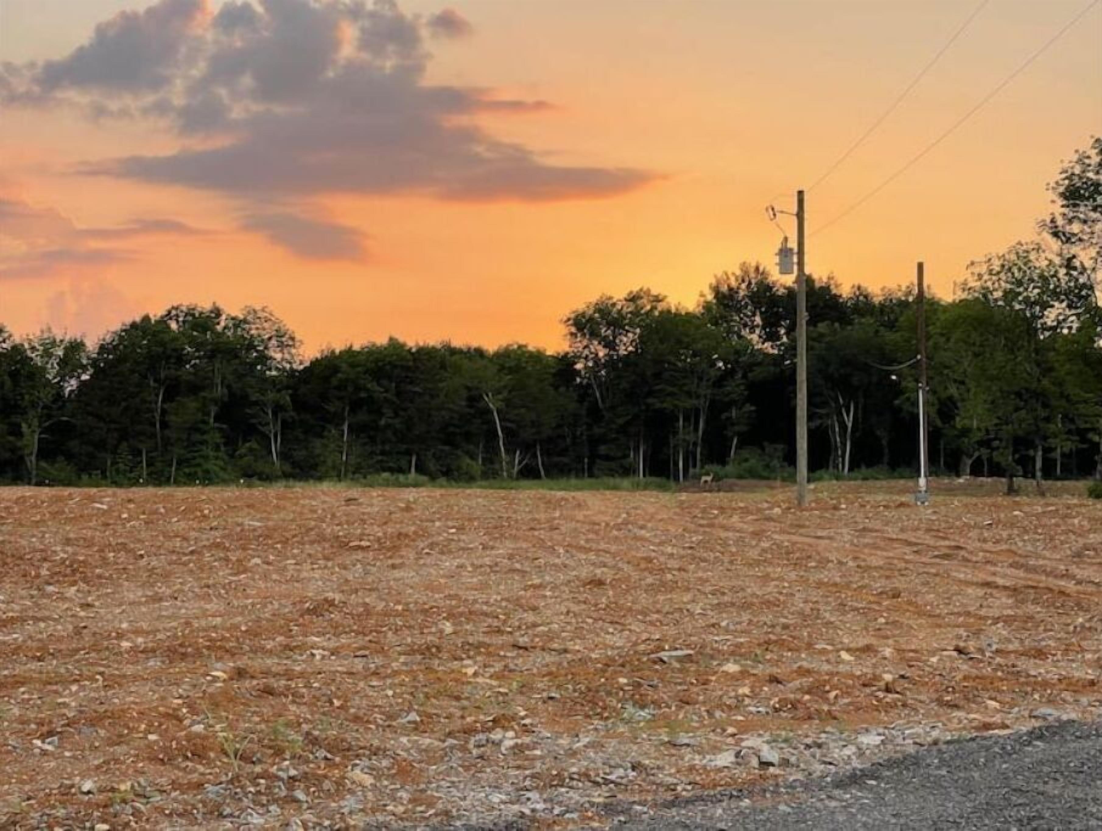 Un champ dégagé avec un sol en terre et une rangée d’arbres en arrière-plan.