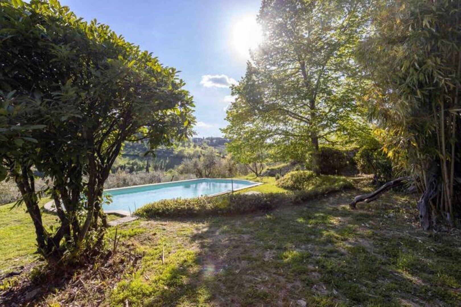 A swimming pool surrounded by lush greenery and trees.