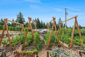 Jardines del alojamiento