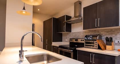 Luxury Apartment
