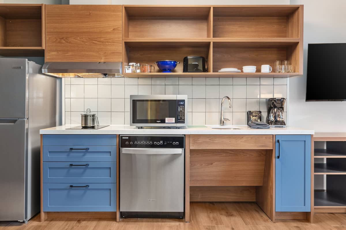 Großer Kühlschrank, Mikrowelle, Herdplatte, Geschirrspüler