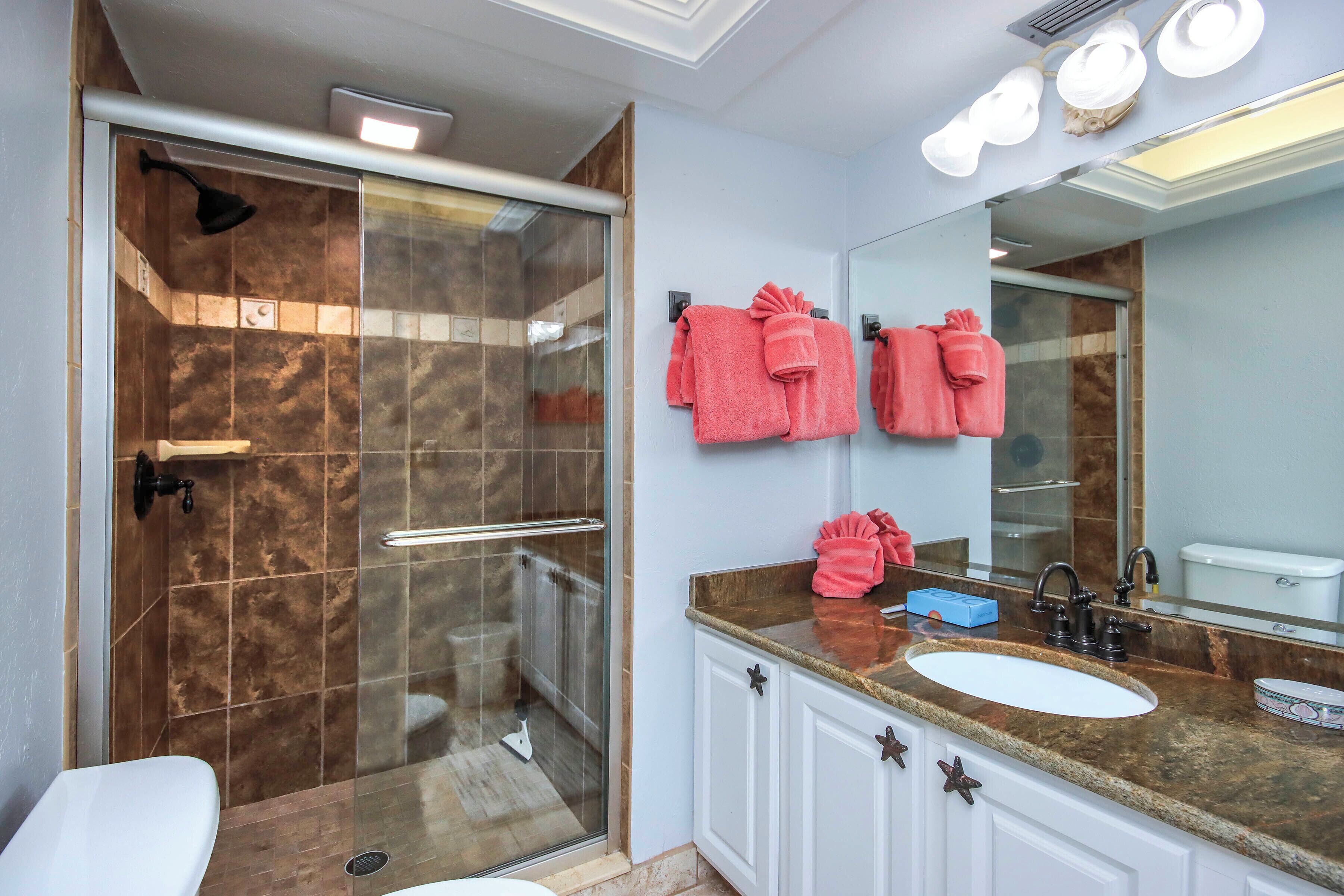 Shower, hair dryer, towels