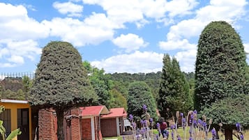 Vista al paisaje
