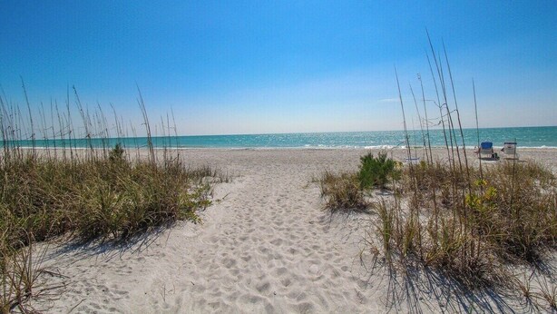 A sandy beach with sparse vegetation and a clear blue sky. - Magnificent Oceanfront 2 BR Condo in Longboat Key - The Lookout (Florida)