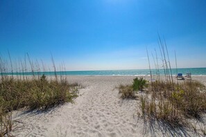 Une plage de sable avec une végétation clairsemée et un ciel bleu dégagé.