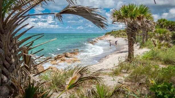 Une plage à l’eau turquoise et limpide, bordée d’un rivage sablonneux et de palmiers.