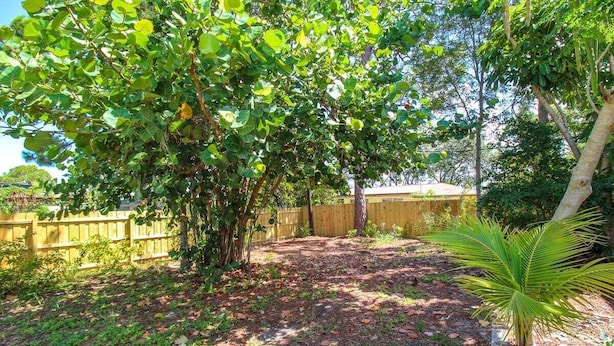 A backyard with a wooden fence, a large tree, and a small palm plant. - Charming home near Manasota Key Beach Beach Heron (Venice)