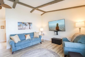Smart TV, chimenea, reproductor de DVD y libros 