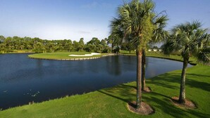 Een golfbaan met een vijver, palmbomen en een heldere lucht.