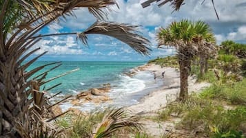 Plage à proximité
