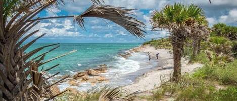 Playa en los alrededores