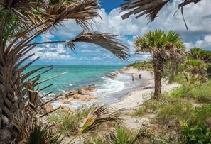 Vlak bij het strand