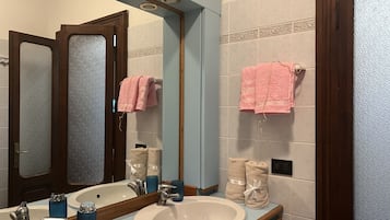 Shower, hair dryer, bidet, towels