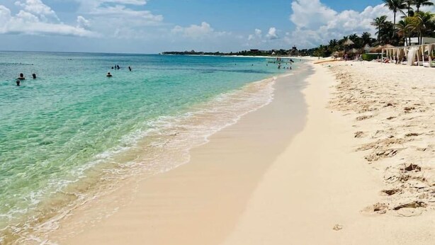 Une plage à l’eau turquoise et limpide, bordée d’un rivage sablonneux et de palmiers.