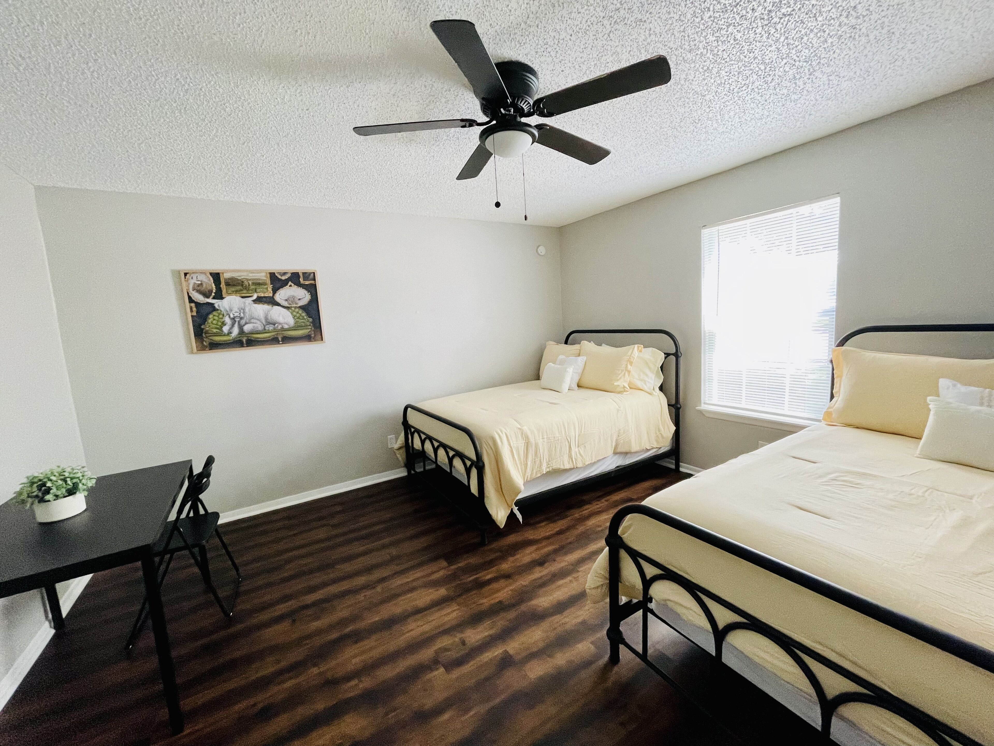 Modern Gem Near Fort Sam Houston