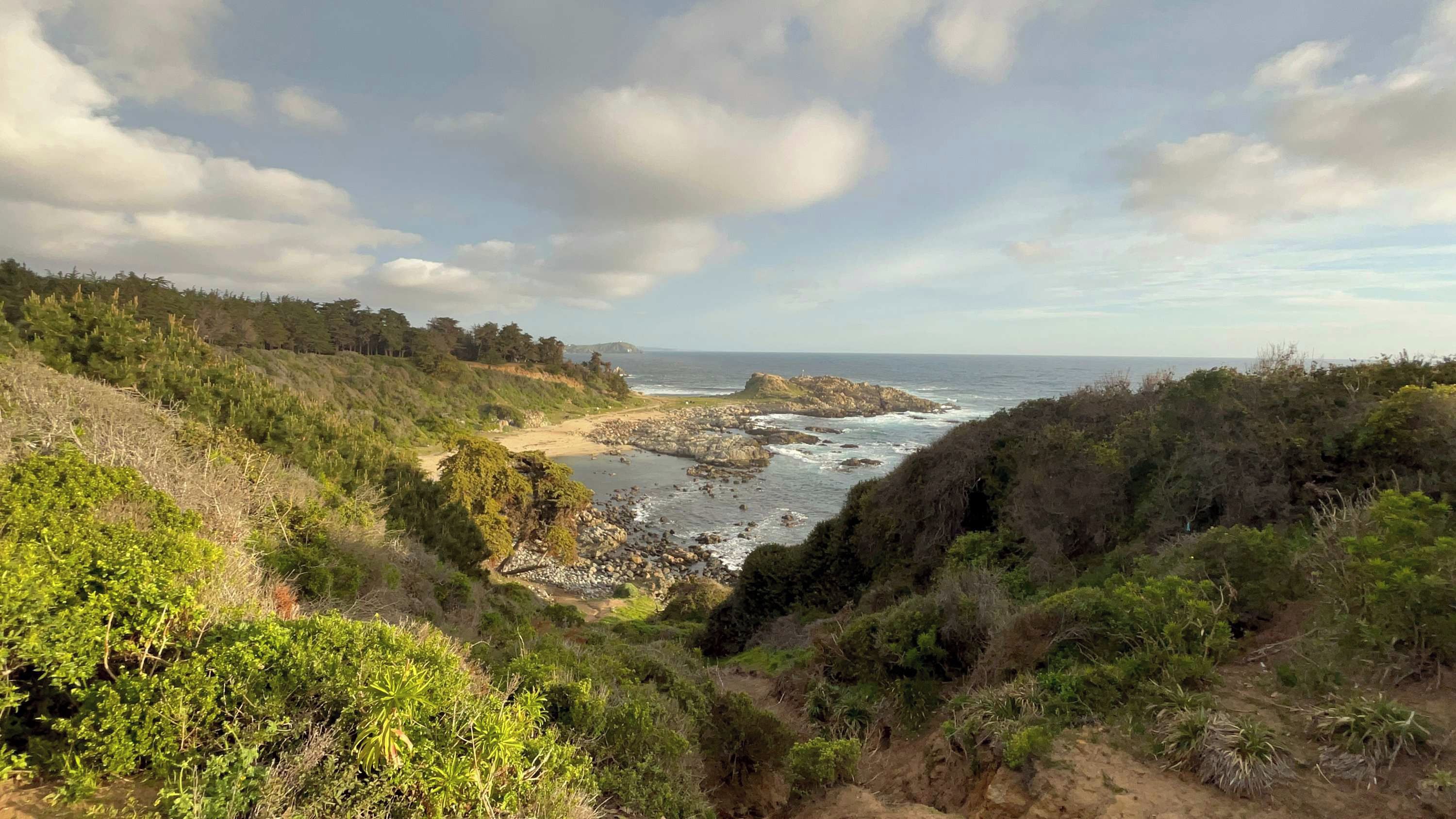 Un paysage côtier caractérisé par un terrain rocheux, une végétation dense et une vue sur l’océan.