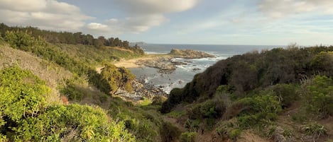 A coastal landscape with rocky terrain, dense vegetation, and a view of the ocean.