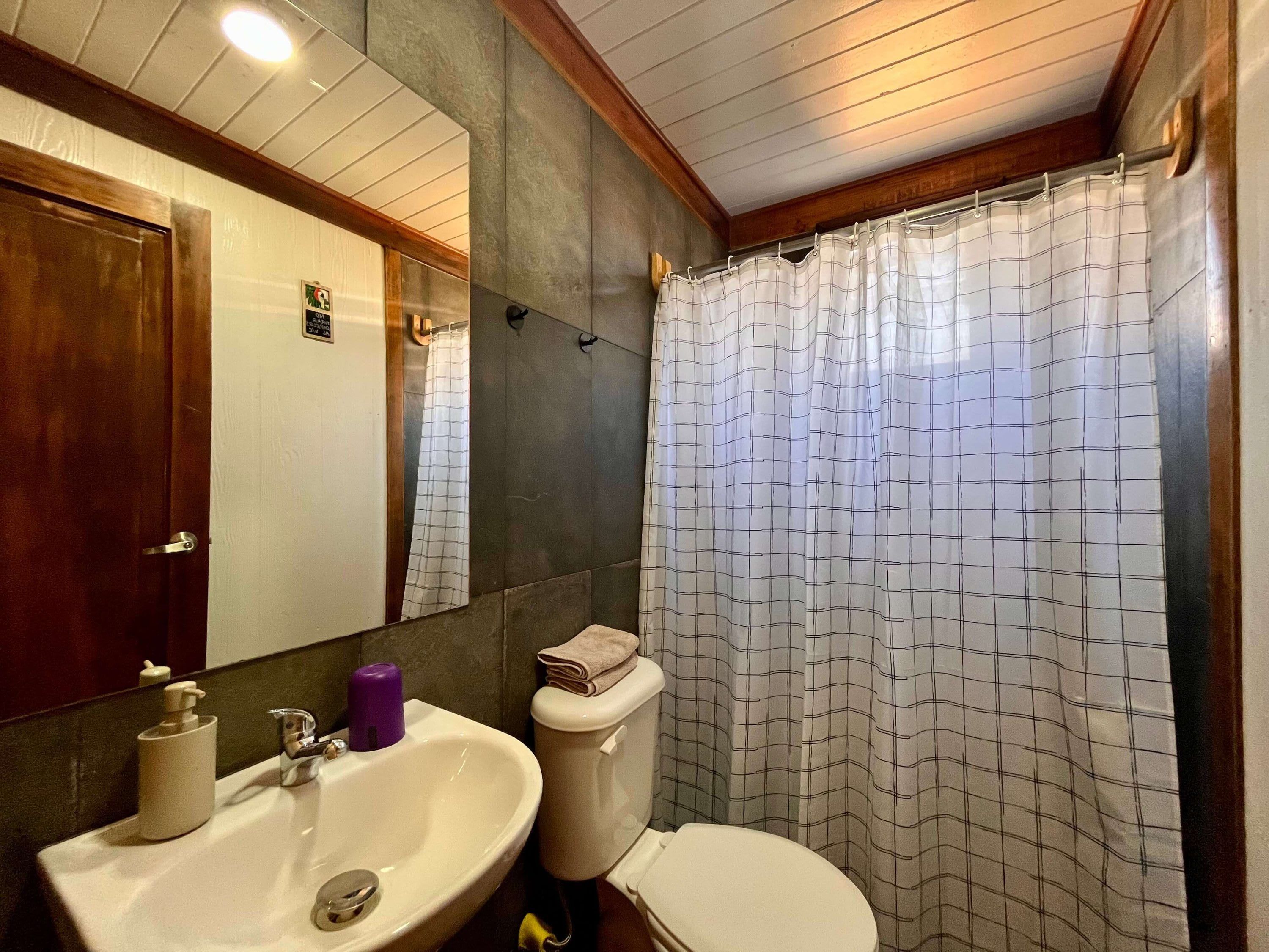 A bathroom with a sink, toilet, and shower curtain.