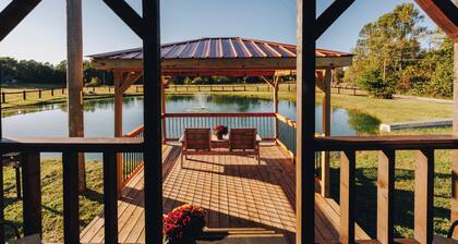 Tiny Cabin At The Pond
