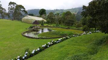 Terrein van de accommodatie